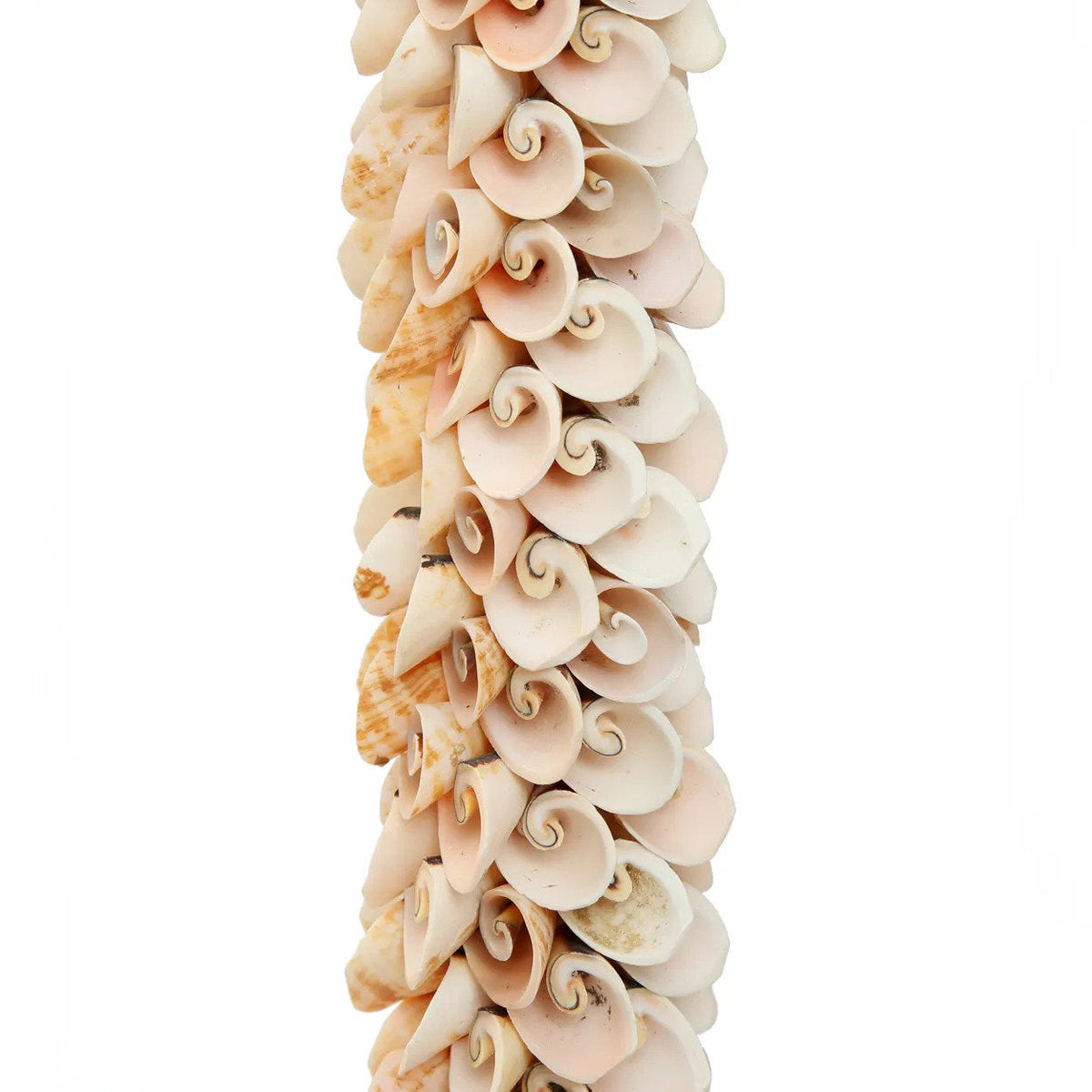 The Shell & Cotton Tassel - Pink