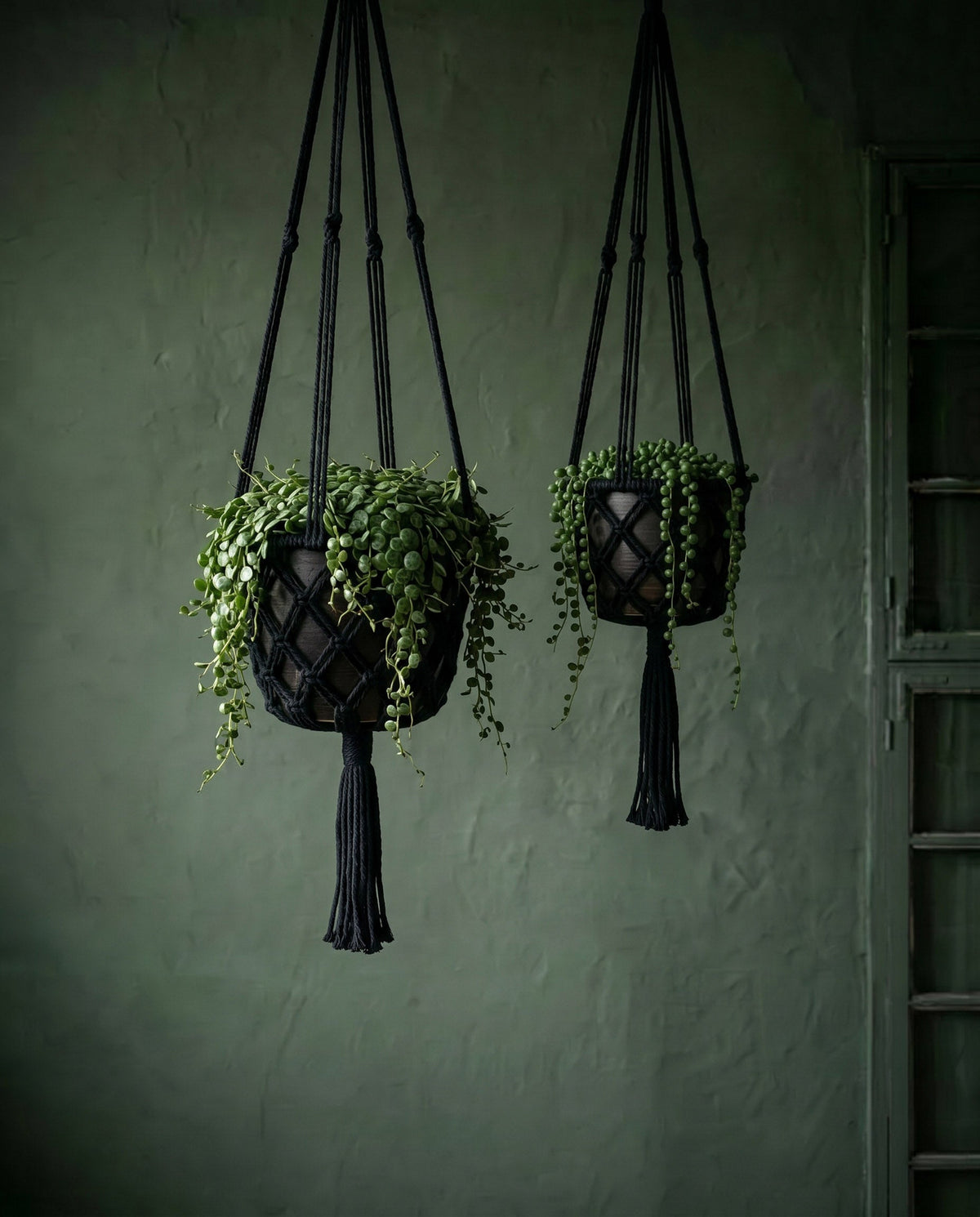The Macrame Plant Holder - Black - L
