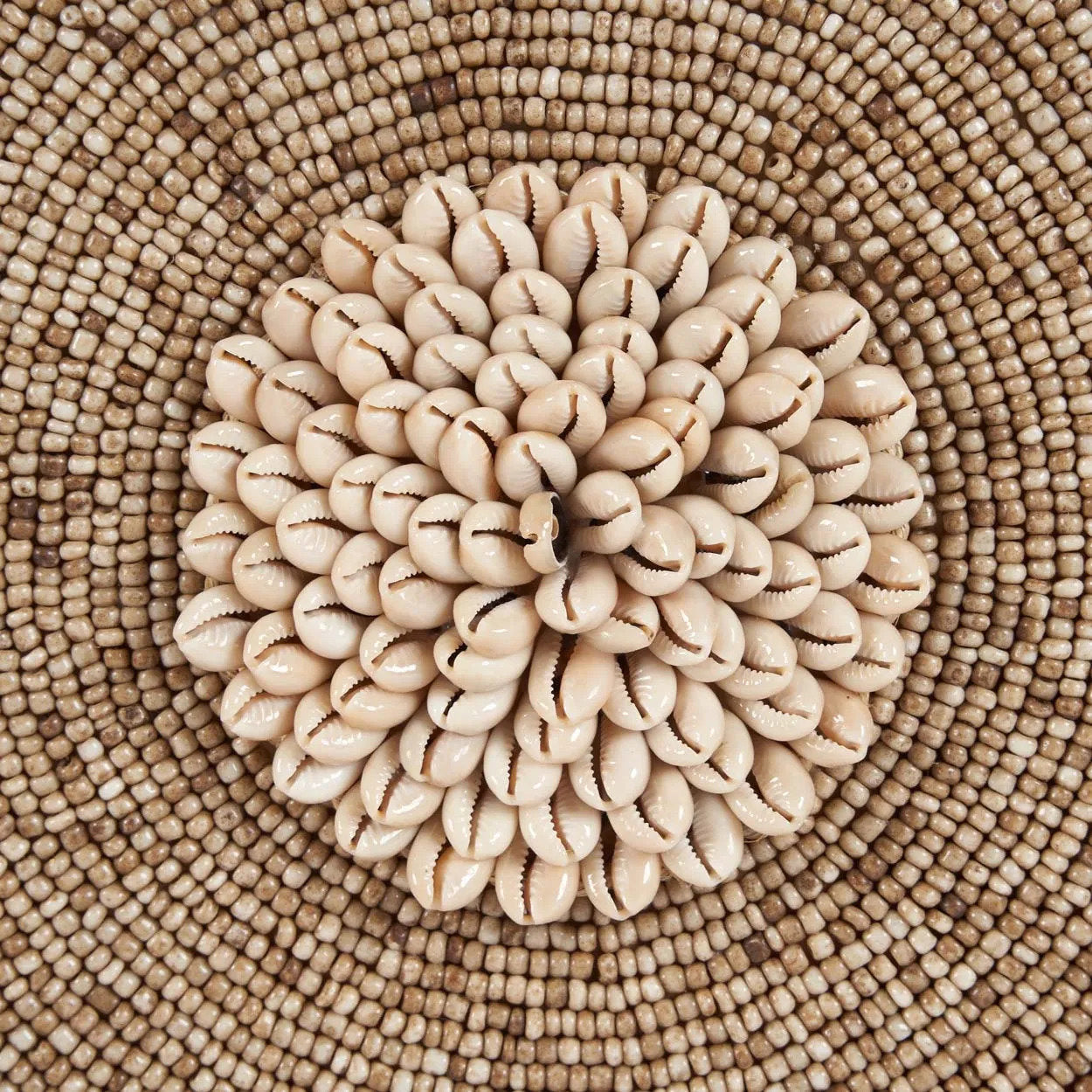 The Shell Guadeloupe on Stand - Natural White
