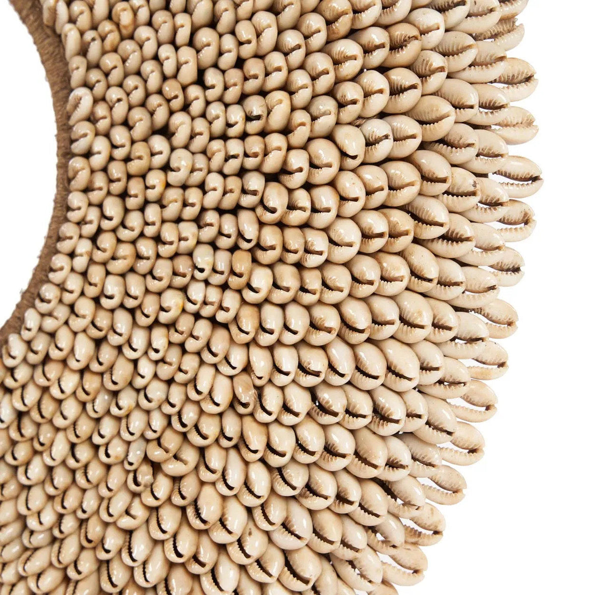 Réunion Shell on Stand - Natural