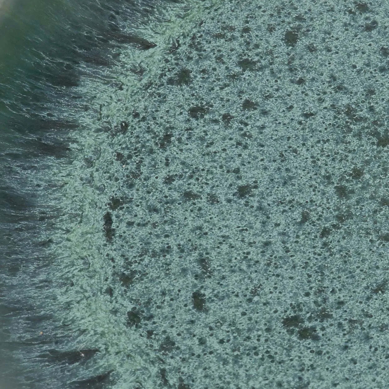The Aqua Salad Plate