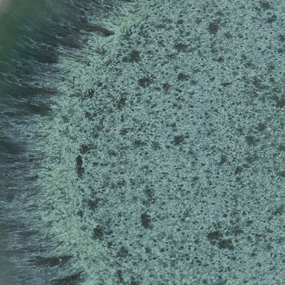 The Aqua Salad Plate