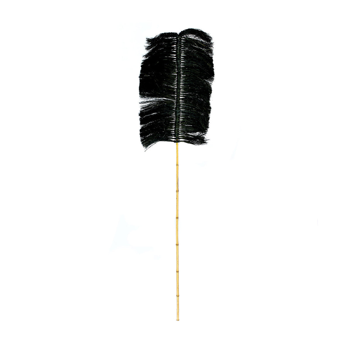 The Raffia Palm - Black