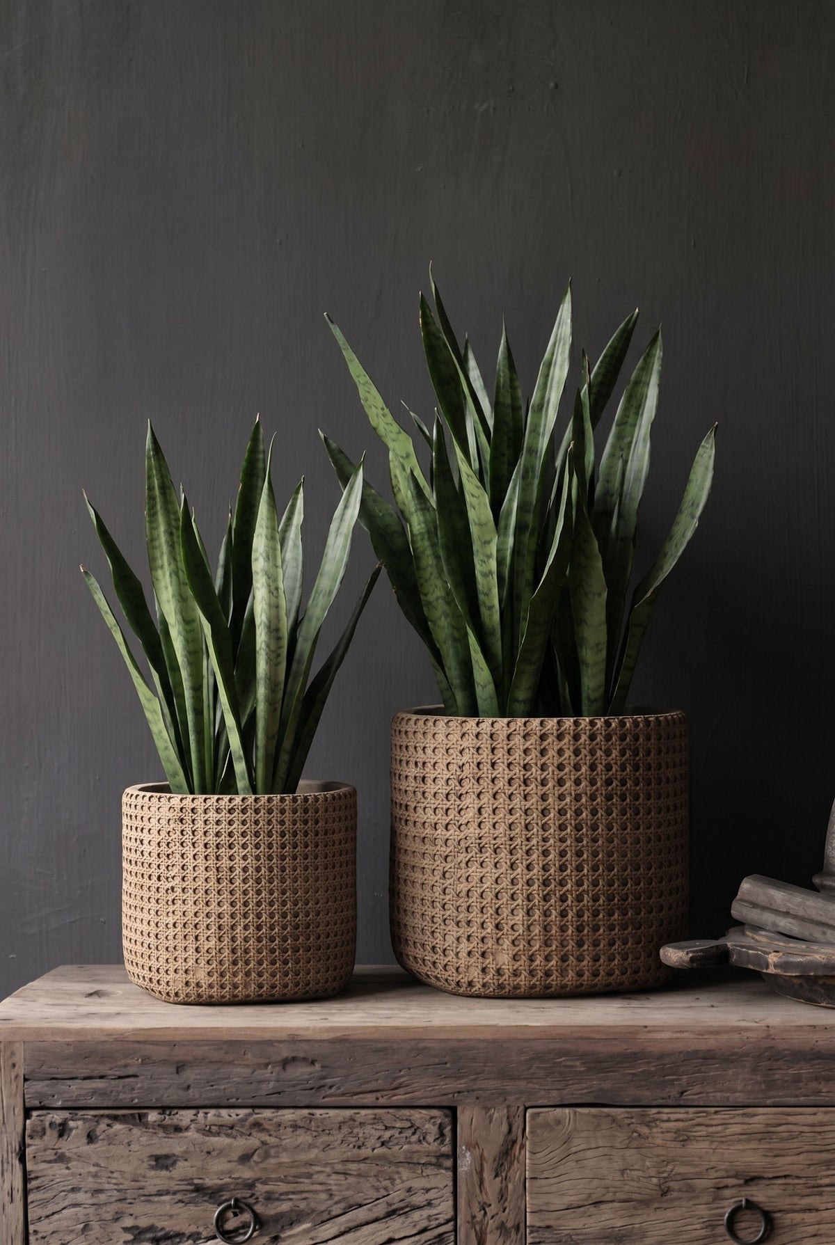 The RattanRock Planter - Natural - XL