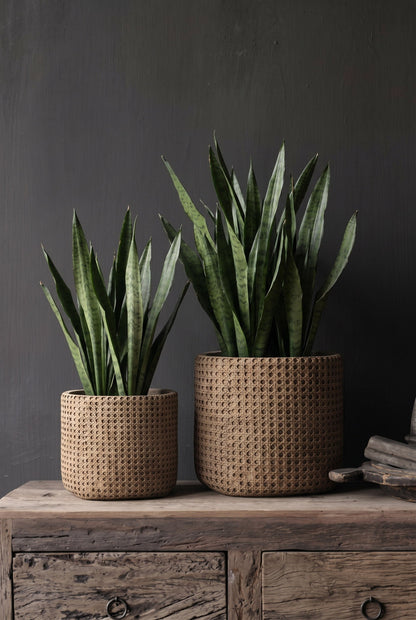 The RattanRock Planter - Natural - XL