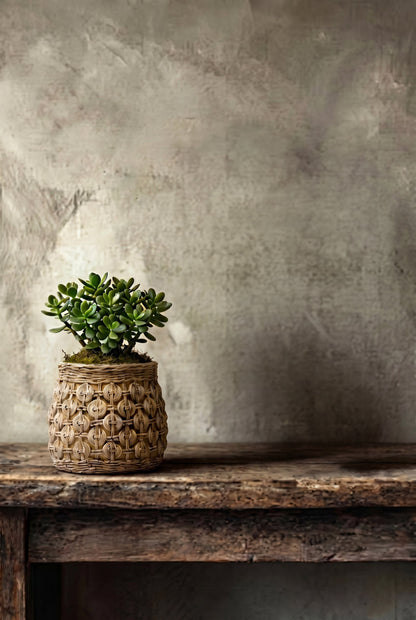 The Knot Concrete Planter - L