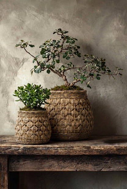 The Knot Concrete Planter - L