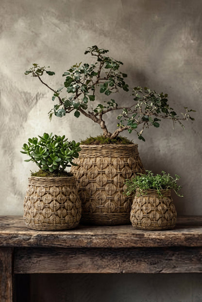 The Knot Concrete Planter - L