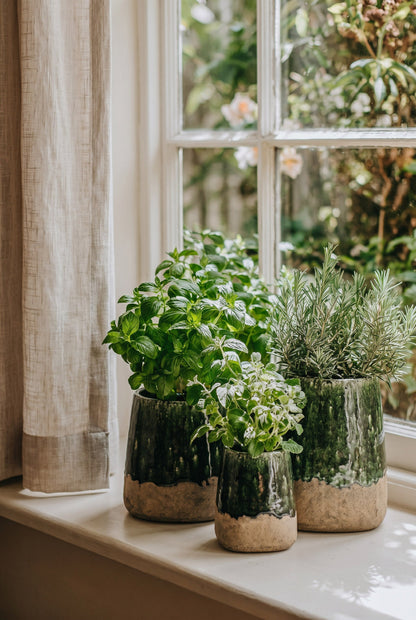 The Moss Conical Planter - Concrete Green - S