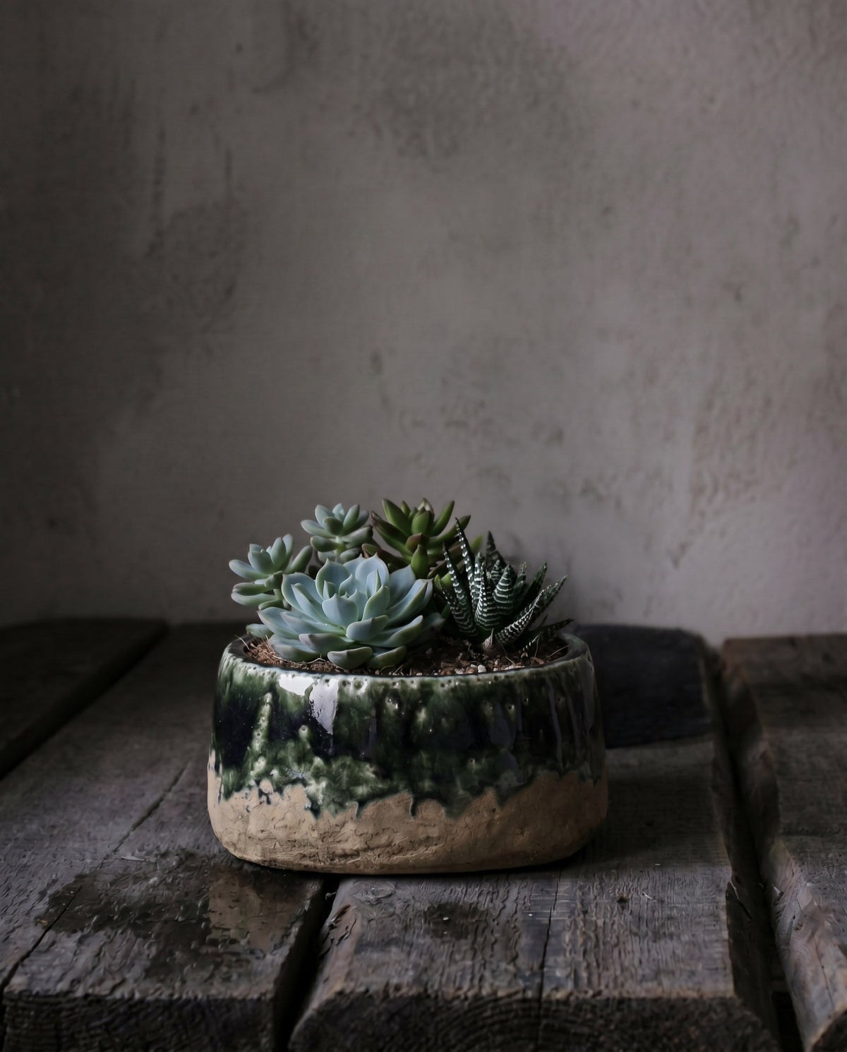 The Moss Bowl Planter - Concrete Green - Low