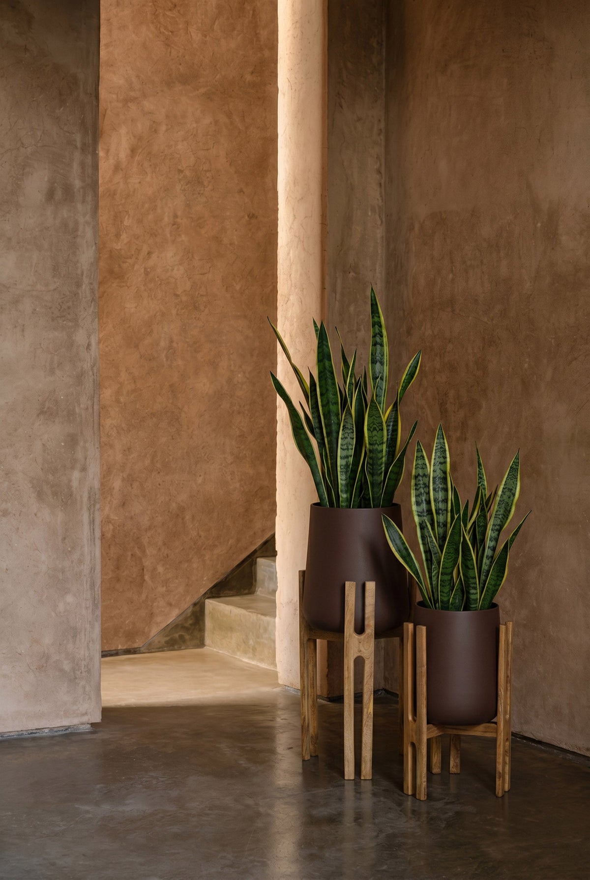 The Forked Root Planter - Natural Brown - L