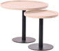 Set de 2 Mesitas Auxiliares Aspen