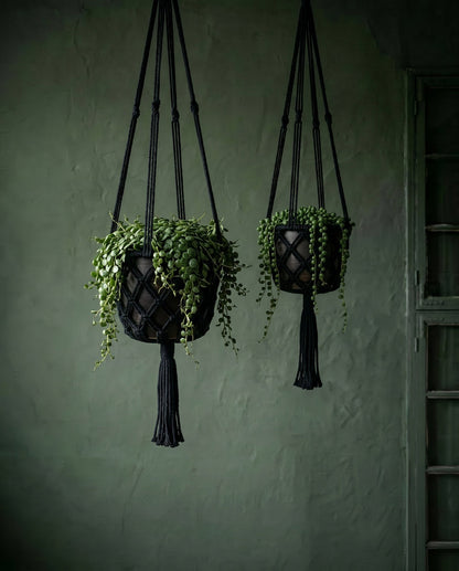 The Macrame Plant Holder - Black - L