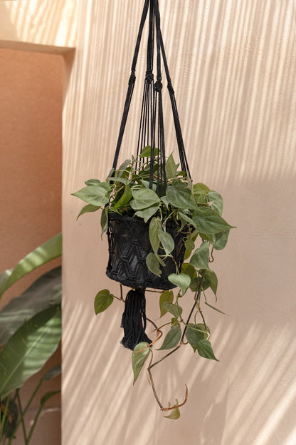 The Macrame Plant Holder - Black - M
