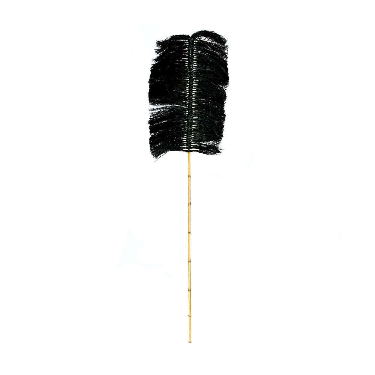 The Raffia Palm - Black