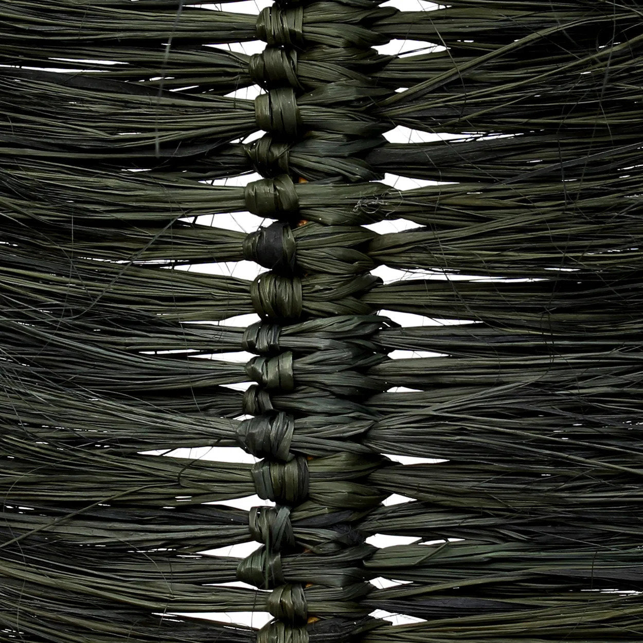The Raffia Palm - Black