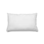 White Rectangular Inner Cushion - 30x50