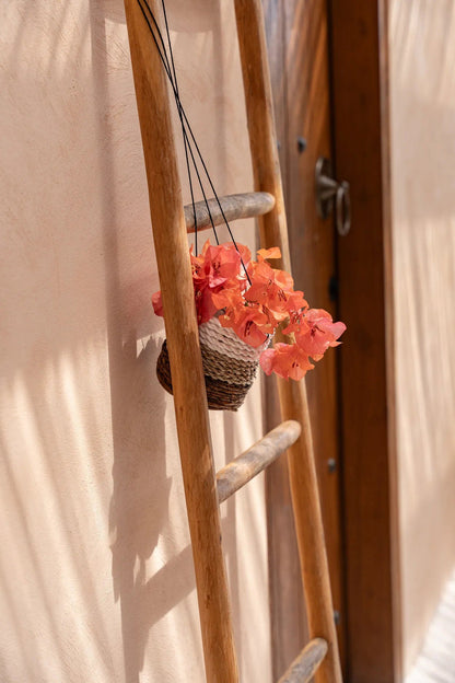 The Banana Plant Hanger - Natural White - S