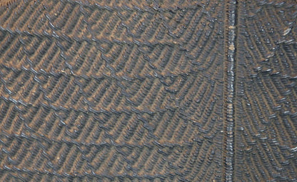 Samurai Jinkasa 1800